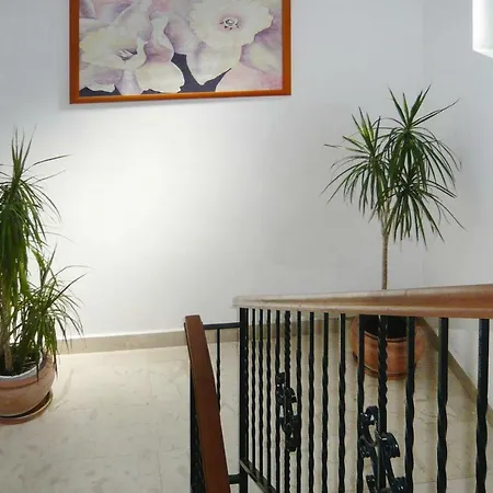Roberta - Cin11003-cya Apartman Orebic